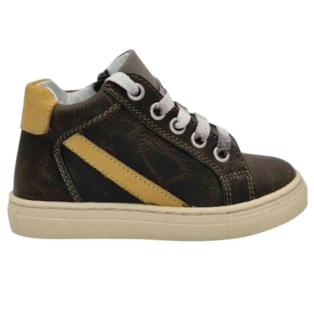 POLLINO CIPELE BROWN 