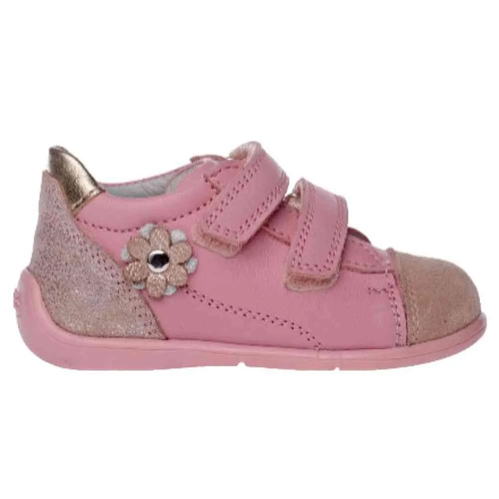 POLLINO CIPELE ROSA 