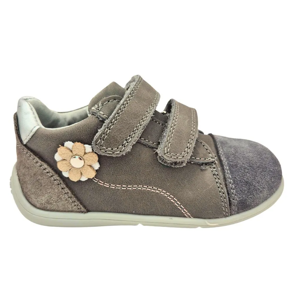 POLLINO CIPELE GRIGIO