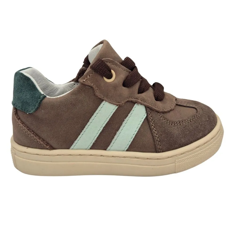 POLLINO CIPELE BROWN