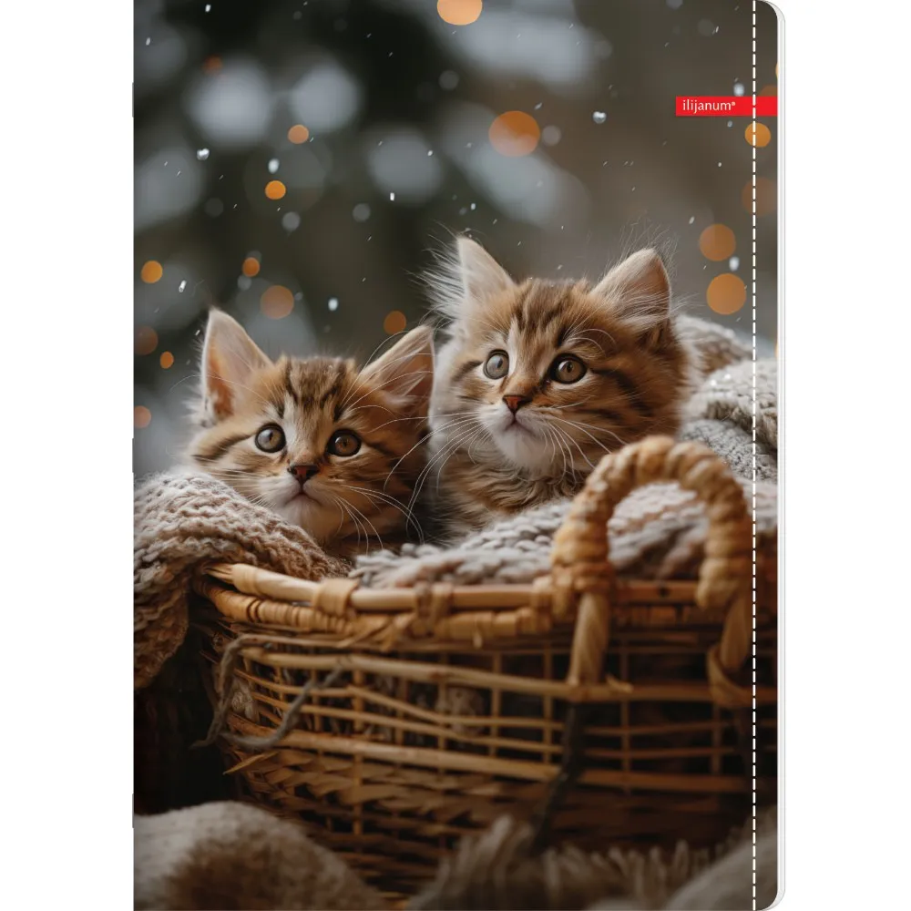 ILIJANUM SVESKA A4 KARO 52L PETS