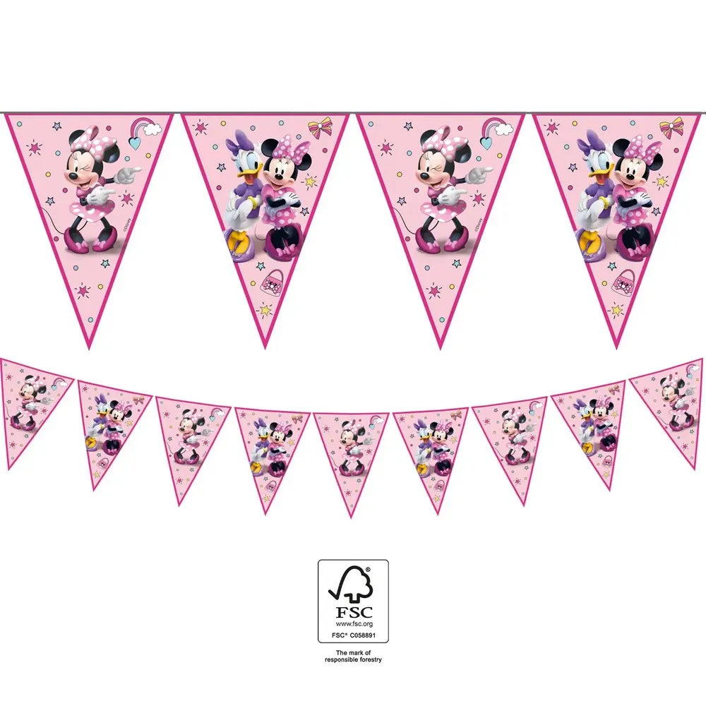 MINNIE MOUSE JUNIOR PARTY ZASTAVICE 1/1 