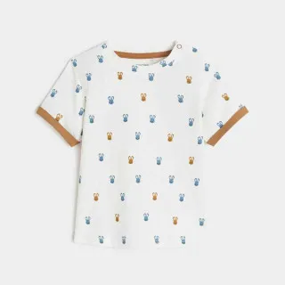 OBAIBI SET CACTUS 