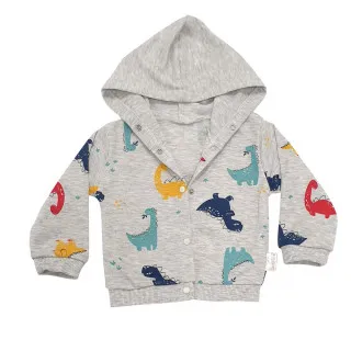 KIDZZ NAYINOM ZEKA DINO GRI