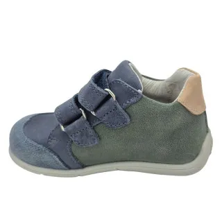 POLLINO CIPELE GREEN