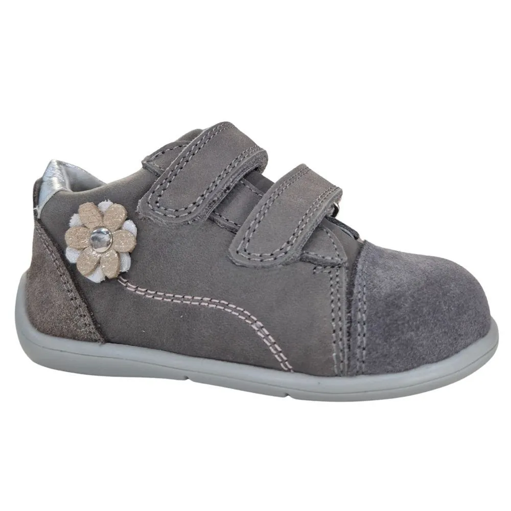 POLLINO CIPELE GRIGIO
