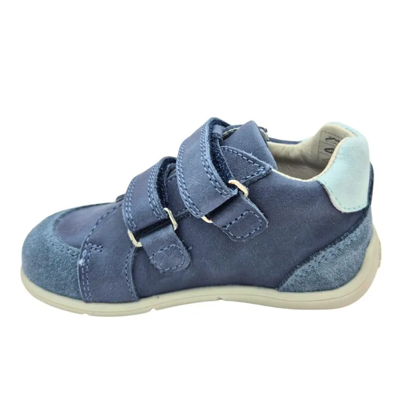 POLLINO CIPELE BLUE