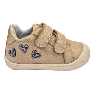 POLLINO CIPELE GOLD