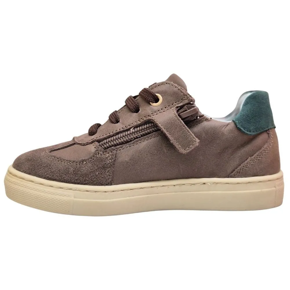 POLLINO CIPELE BROWN 