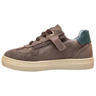 POLLINO CIPELE BROWN 