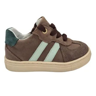 POLLINO CIPELE BROWN