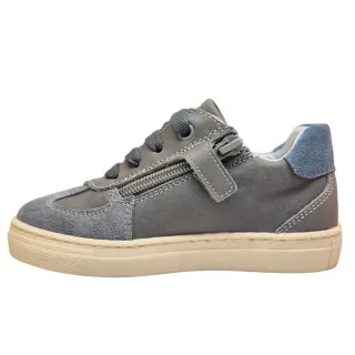 POLLINO CIPELE GRIGIO