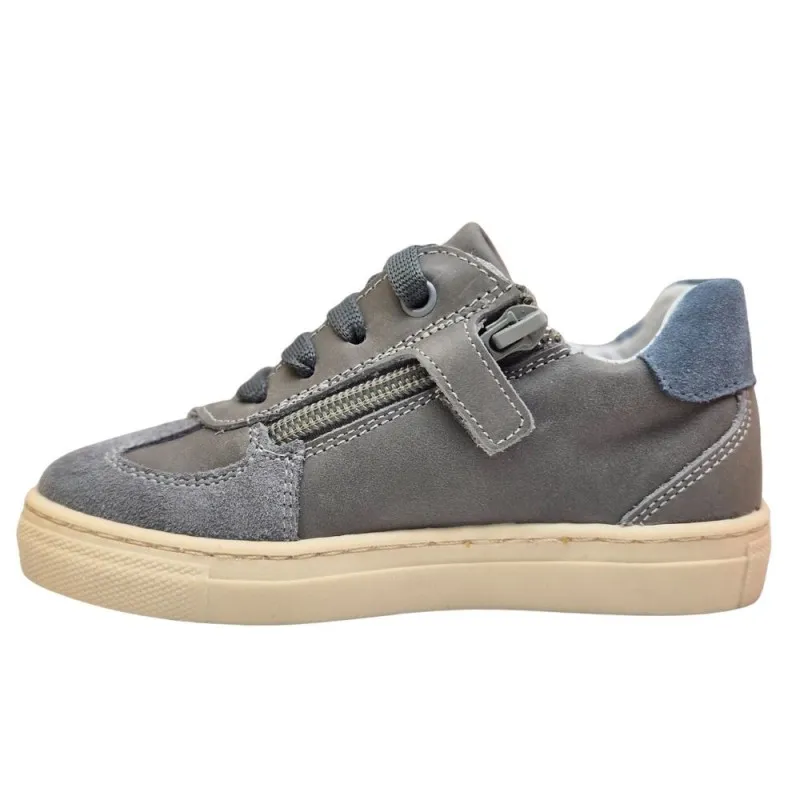 POLLINO CIPELE GRIGIO