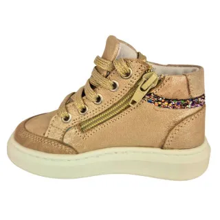 POLLINO CIPELE GOLD