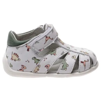 POLLINO CIPELE GREEN 