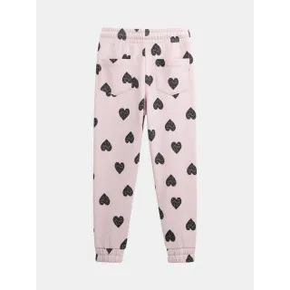 DPAM DONJI DEO TRENERKE 