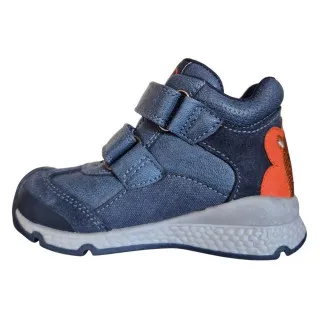 POLLINO CIPELE BLUE