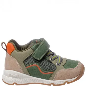 POLLINO CIPELE GREEN 