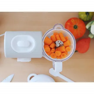 BEABA APARAT BABYCOOK EXPRESS VELVET GREY