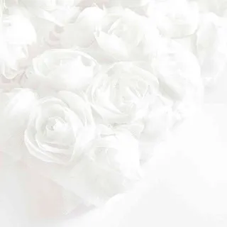 COOL CLUB HALJINA DUG RUKAV WHITE