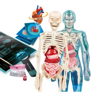 SUPER ANATOMY (EN+US) 