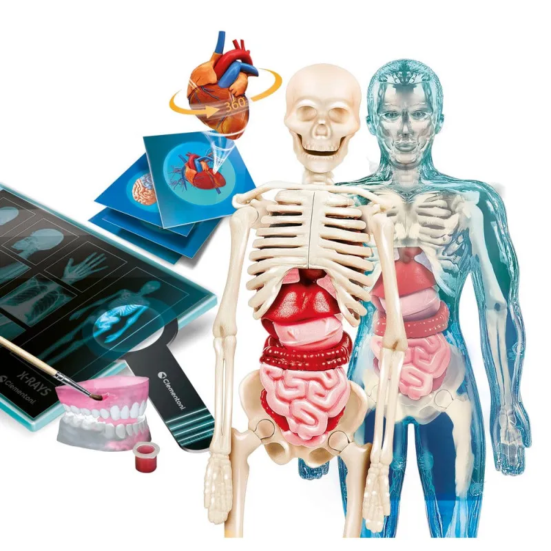 SUPER ANATOMY (EN+US) 
