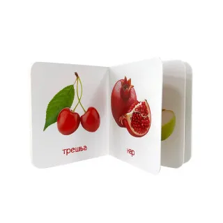 MOJA MALA BIBLIOTEKA - VOĆE