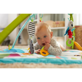 TINY LOVE GIMNASTIKA SUNNY DAY