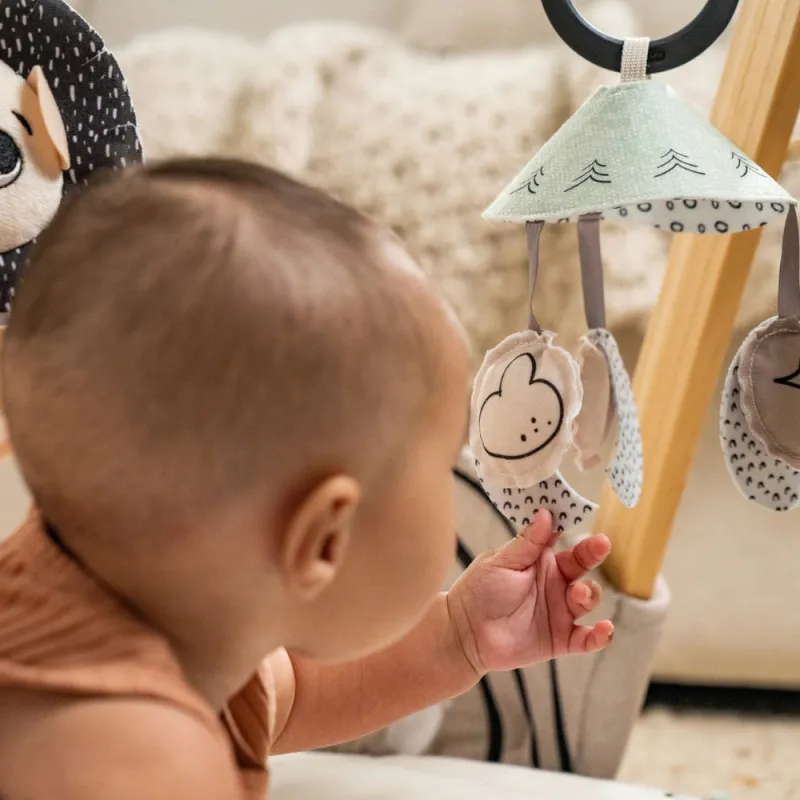 TINY LOVE GIMNASTIKA BLACK&WHITE LUXE