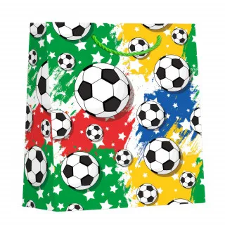 UKRASNA KESA SREDNJA FOOTBALL ASST 