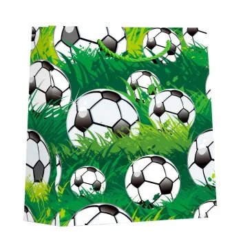 UKRASNA KESA SREDNJA FOOTBALL ASST 