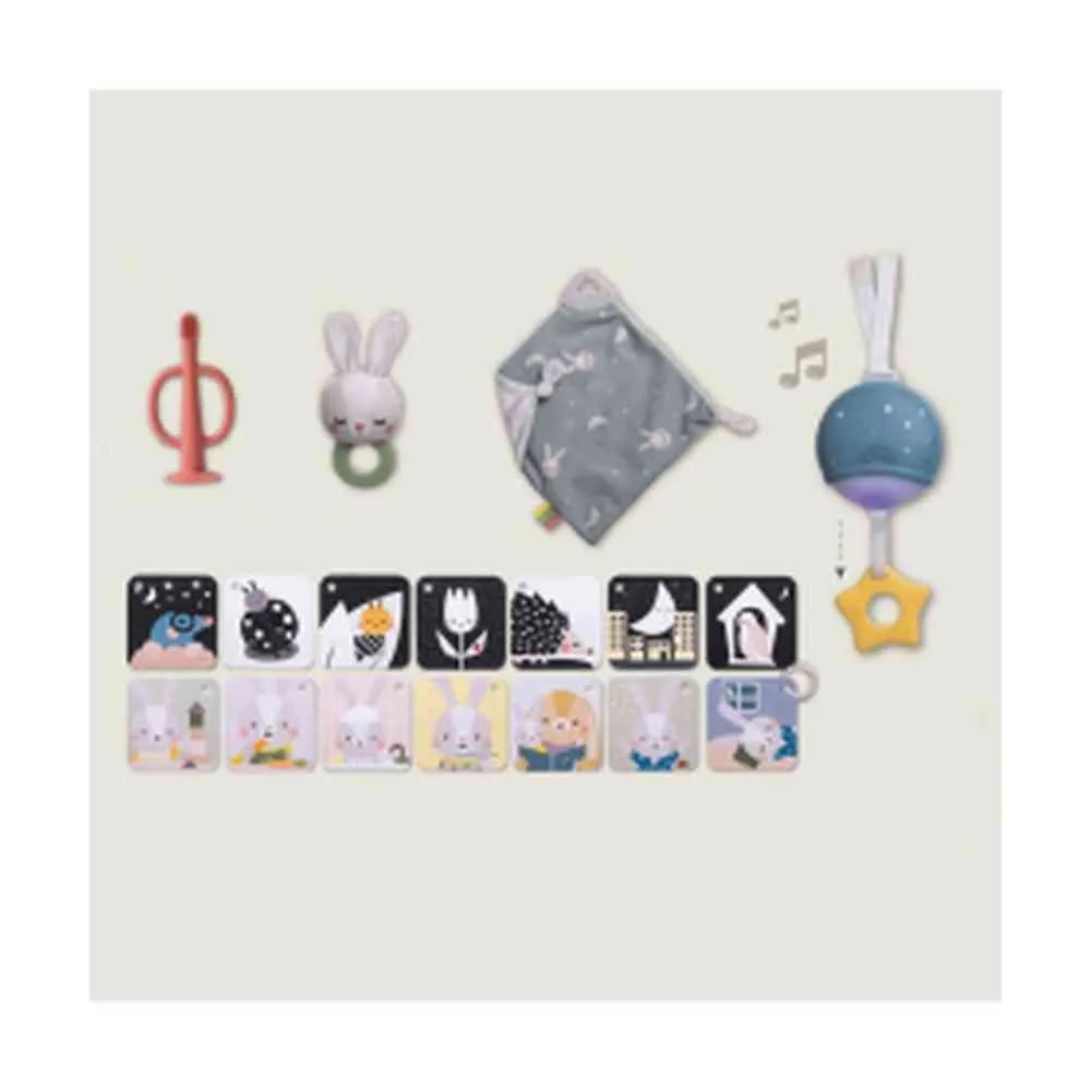 TAF TOYS SET ZA USPAVLJIVANJE 