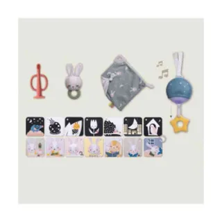 TAF TOYS SET ZA USPAVLJIVANJE 