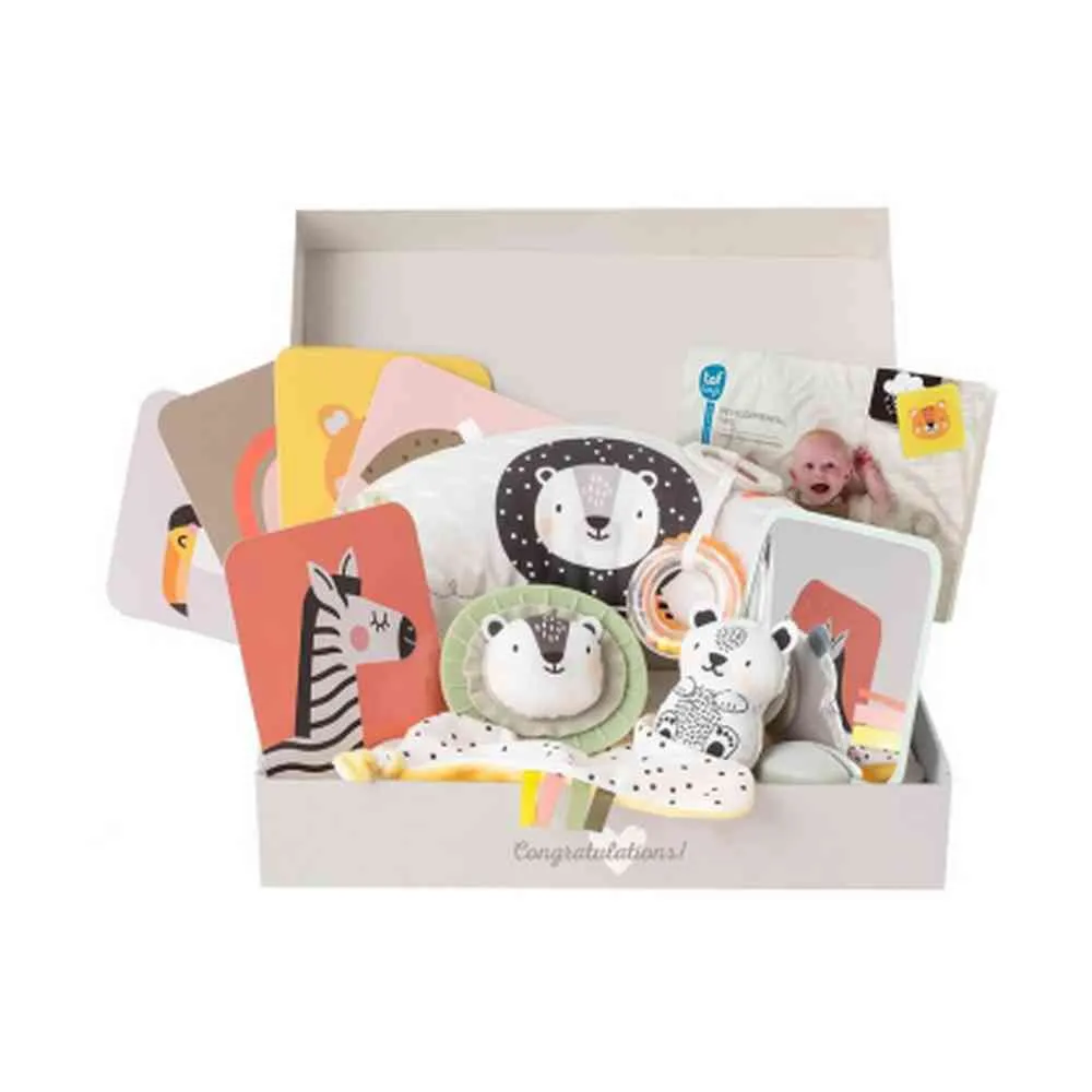 TAF TOYS BEBI SET ZA NOVORODJENCE 