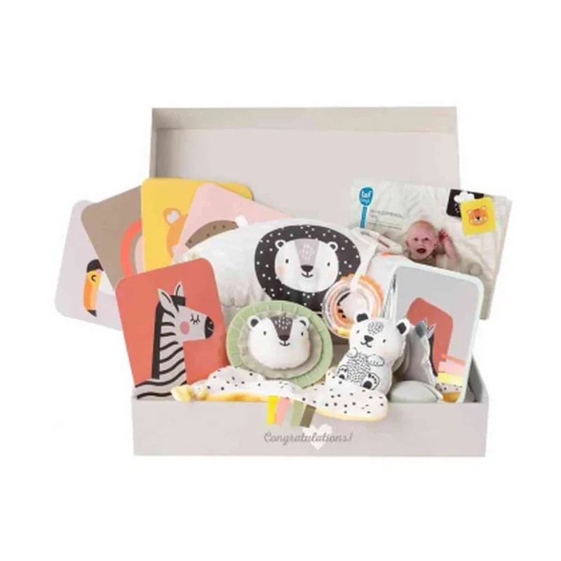 TAF TOYS BEBI SET ZA NOVORODJENCE 