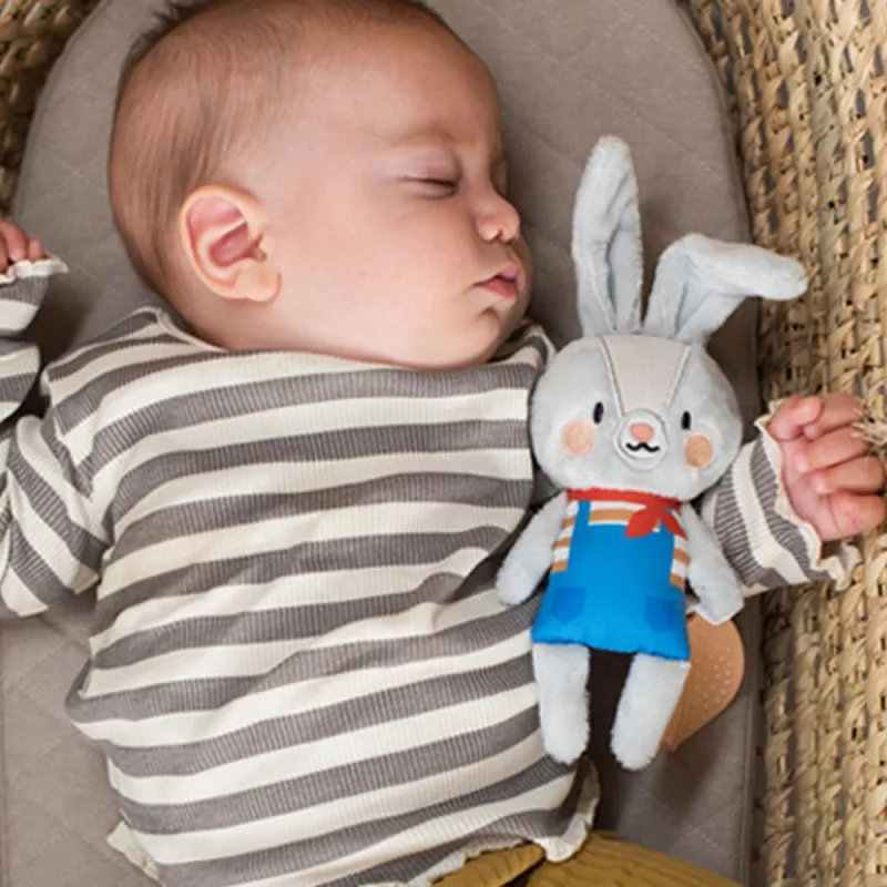 TAF TOYS RYLEE ZEKA IGRACKA ZA KOLICA 