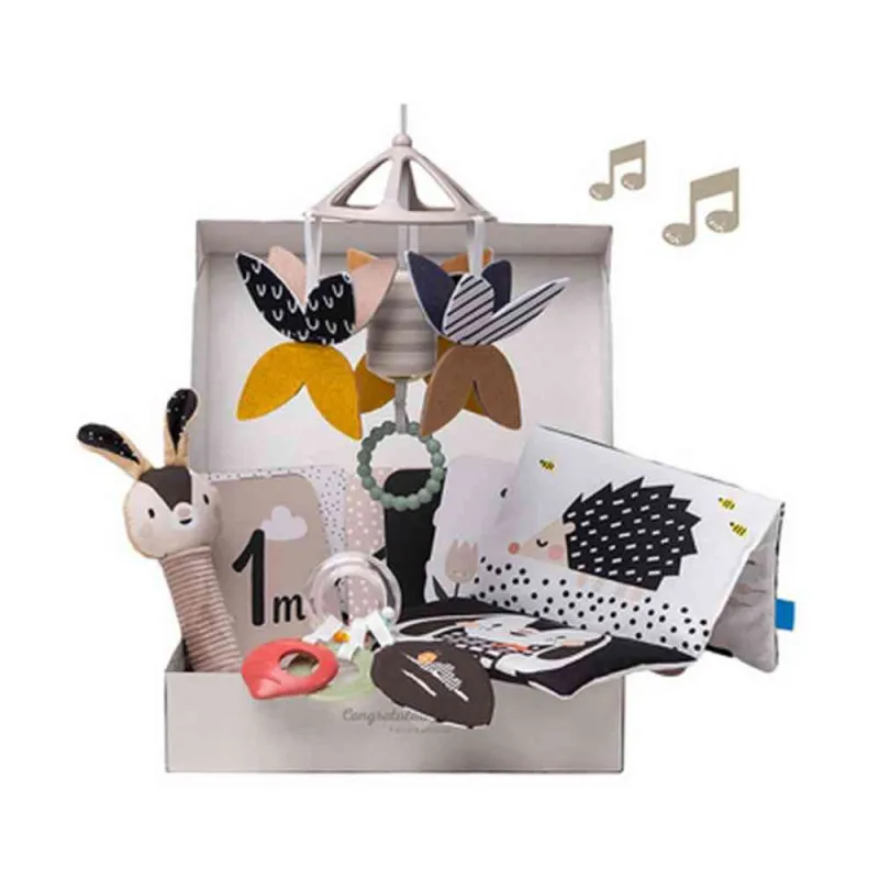 TAF TOYS SET ZA NOVORODJENCE 