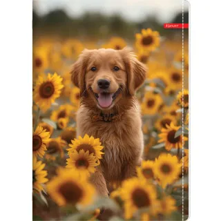ILIJANUM SVESKA A5 KARO 52L PETS