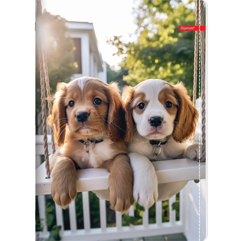 ILIJANUM SVESKA A5 KARO 52L PETS