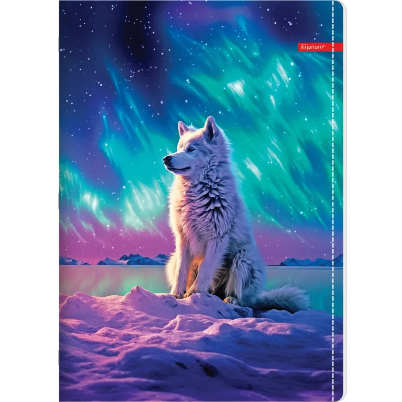 ILIJANUM SVESKA A5 KARO 52L PETS