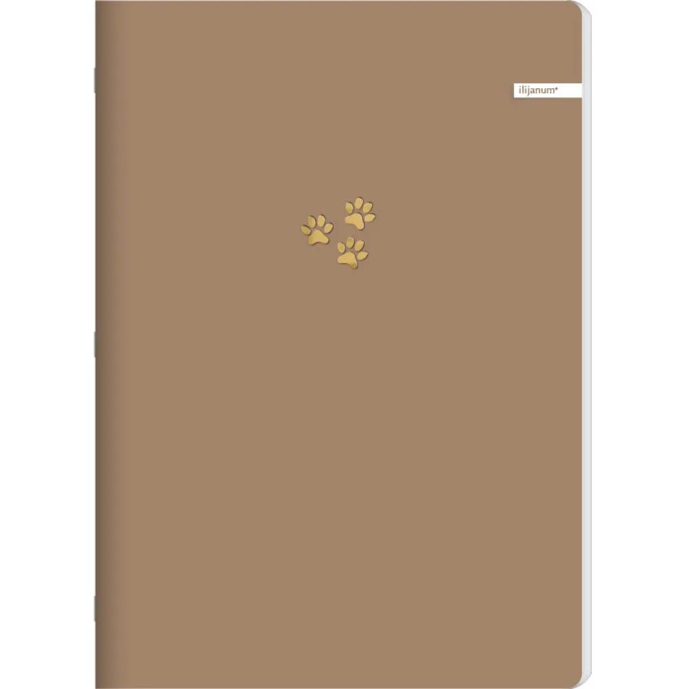 ILIJANUM SVESKA A4 LATAJN 60L SOFT TOUCH 