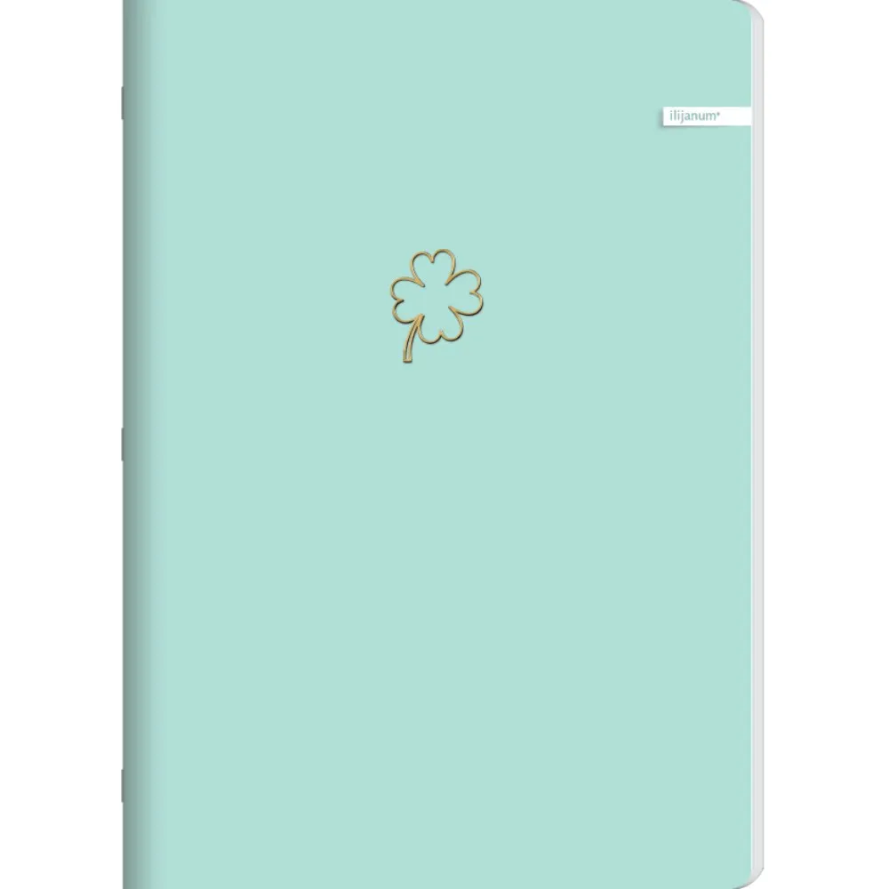 ILIJANUM SVESKA A5 LATAJN 60L SOFT TOUCH 