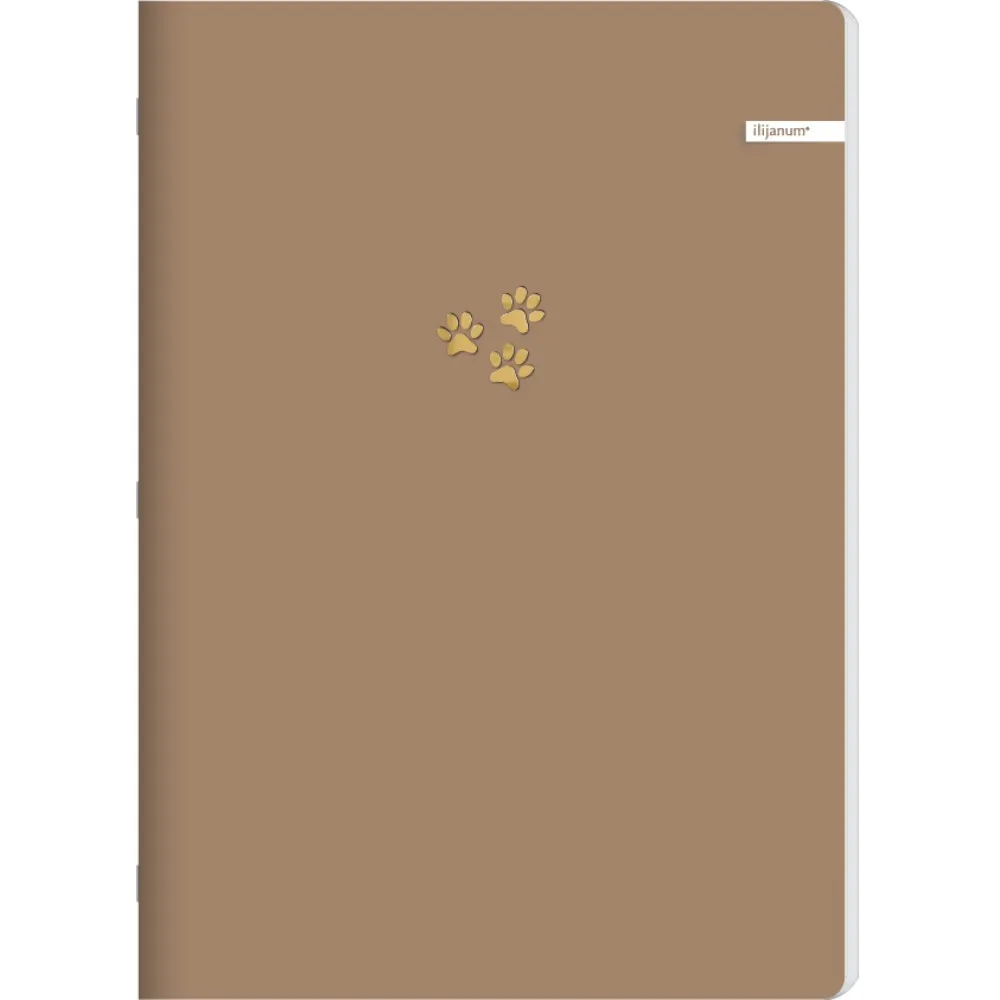 ILIJANUM SVESKA A5 LATAJN 60L SOFT TOUCH 