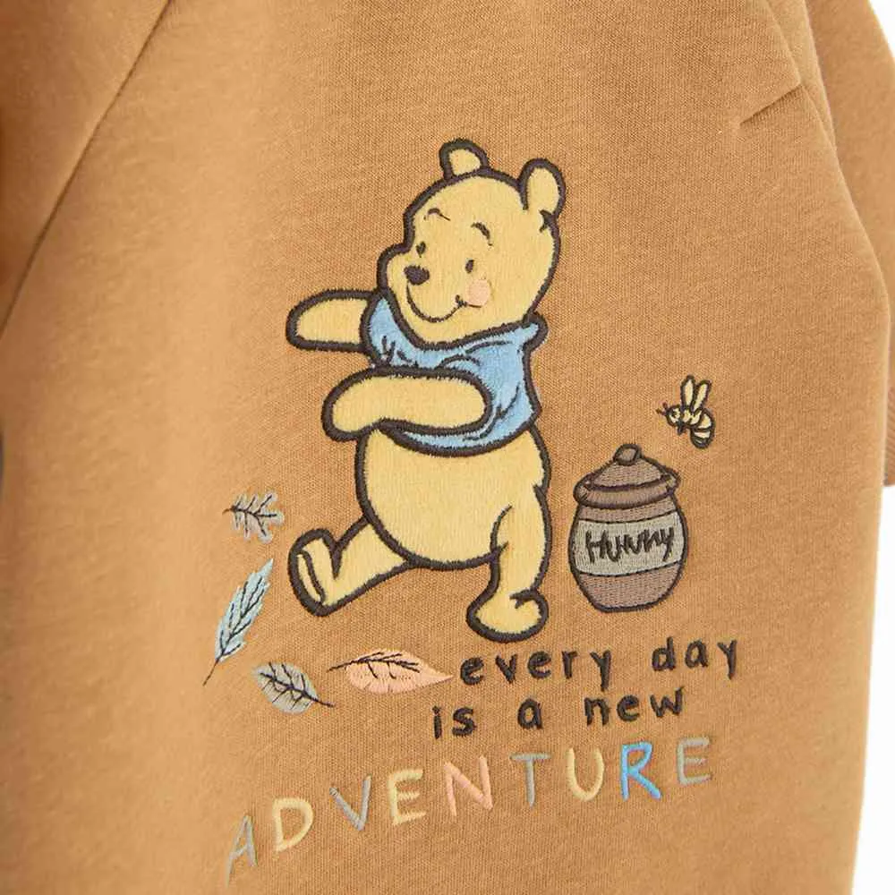 COOL CLUB WINNIE THE POOH ZEKA BROWN 