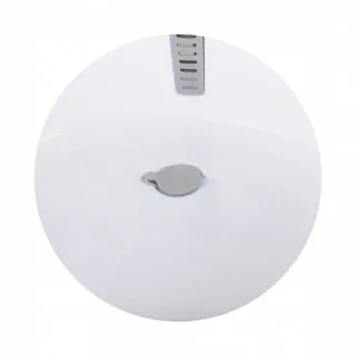 CHIPOLINO KADICA SA STALKOM I DODACIMA GREY