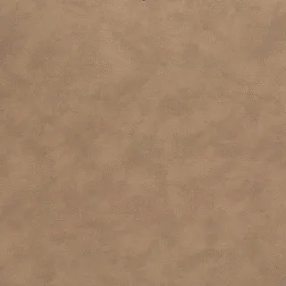 LASSIG RANAC CAMEL