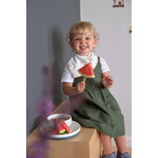 LASSIG SET ZA JELO PORCELAN GARDEN EXPLORER TRACTO