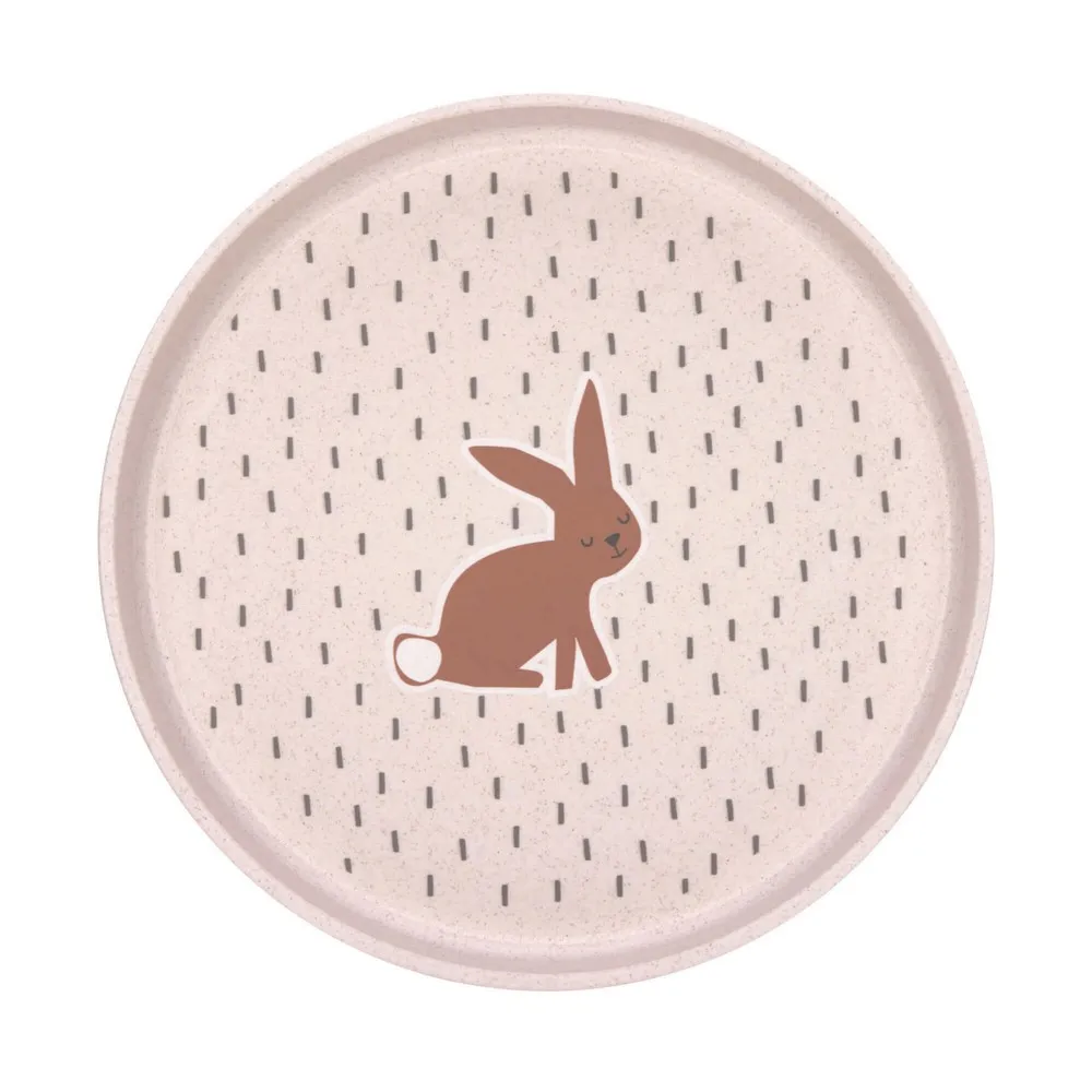 LASSIG TANJIR LITTLE FOREST RABBIT