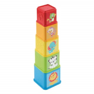 FISHER PRICE FP KOCKE SA SLIKAMA ZA REDJANJE