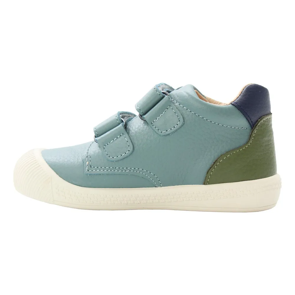 POLLINO CIPELE BLUE 